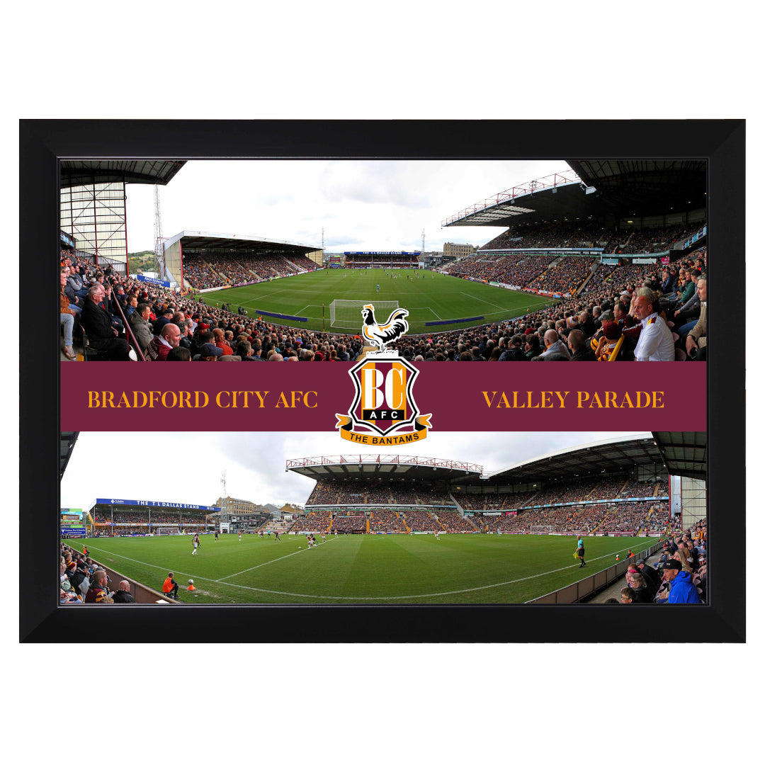 Standard Panoramic Framed Print