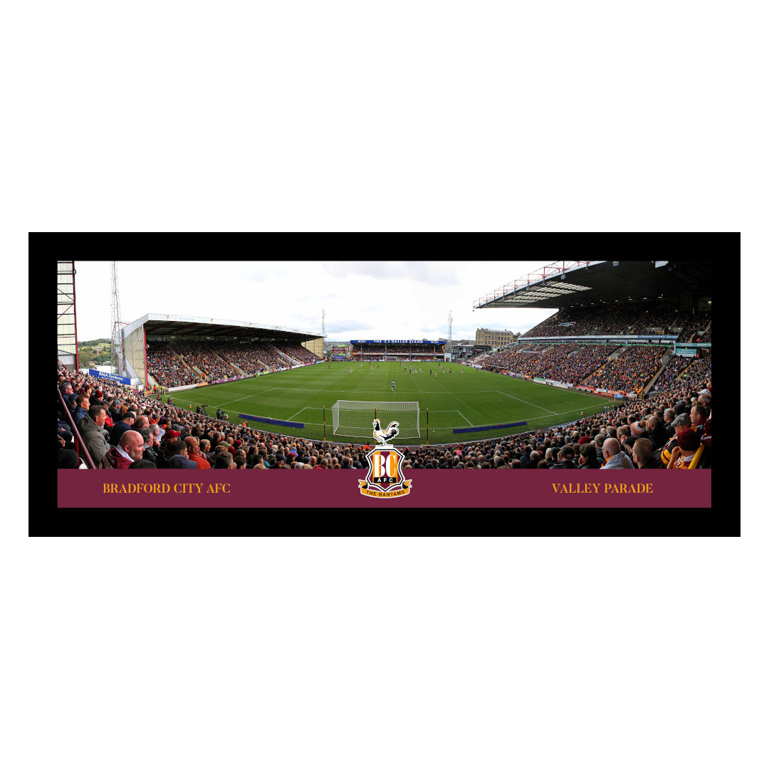 Large Panoramic Framed Print