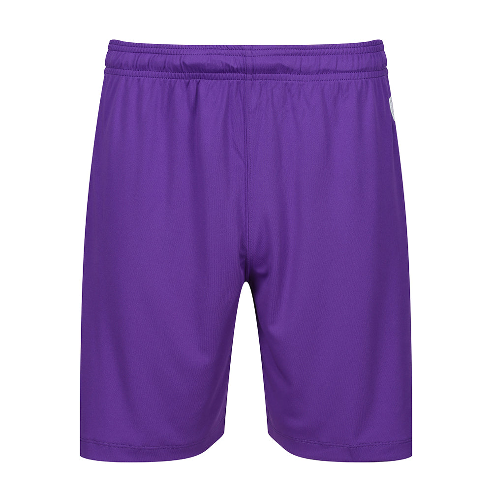 Jnr 23/24 GK Shorts Purple