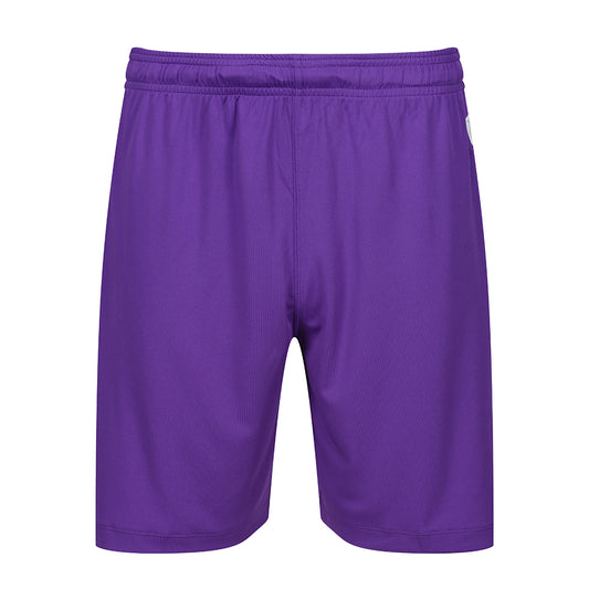 Jnr 23/24 GK Shorts Purple