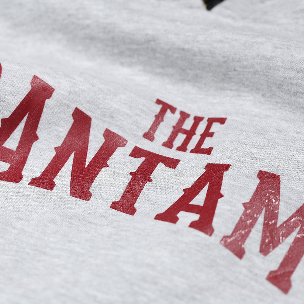 BCAFC The Bantams Hoodie Grey
