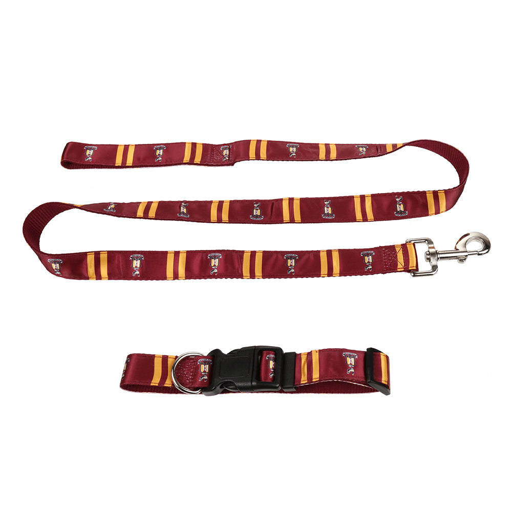 Dog Lead And Collar